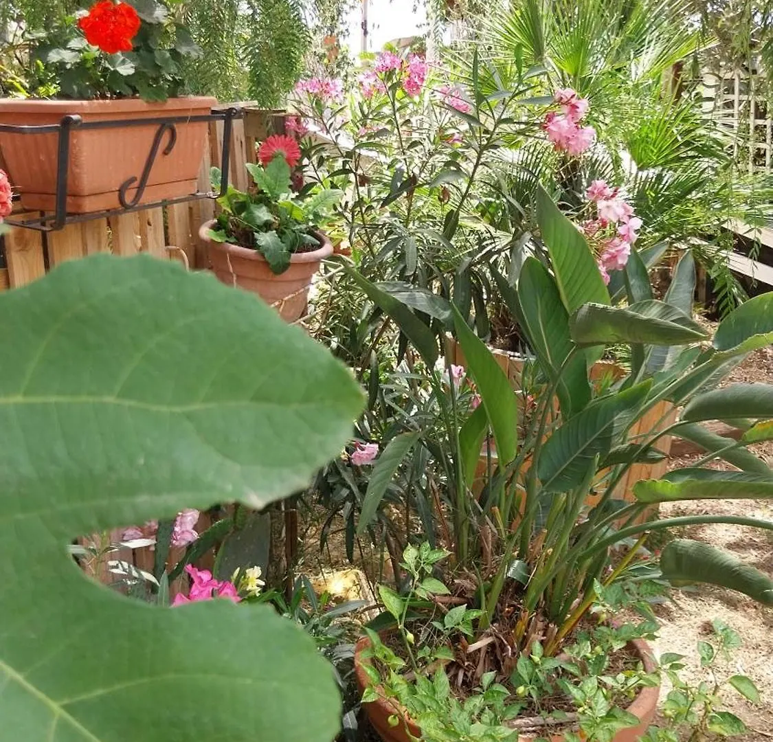 Green Cottage Agrigento Italy