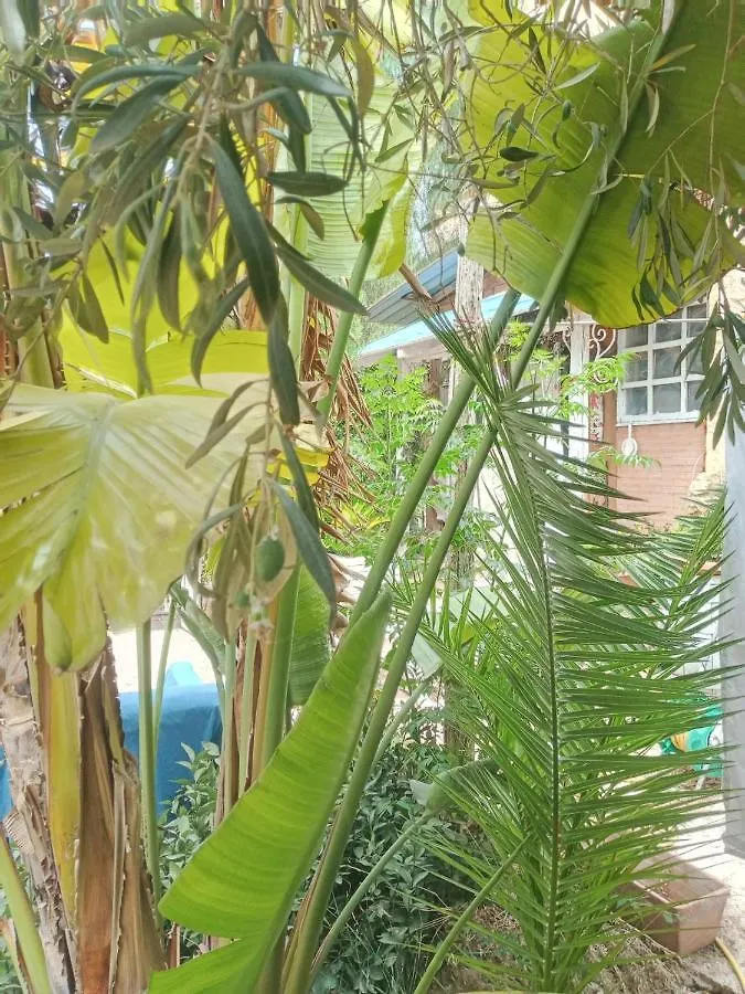 Green Cottage Agrigento 0*,  Italy